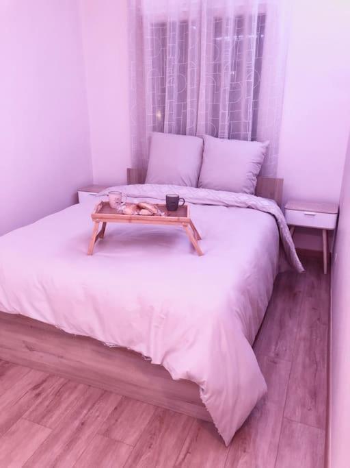 Superbe Appartement Tout Equipe, Le Nid D'Eva A Metz Gare, Parking Prive, Balcon, F2, 50M2, 3P Exteriér fotografie