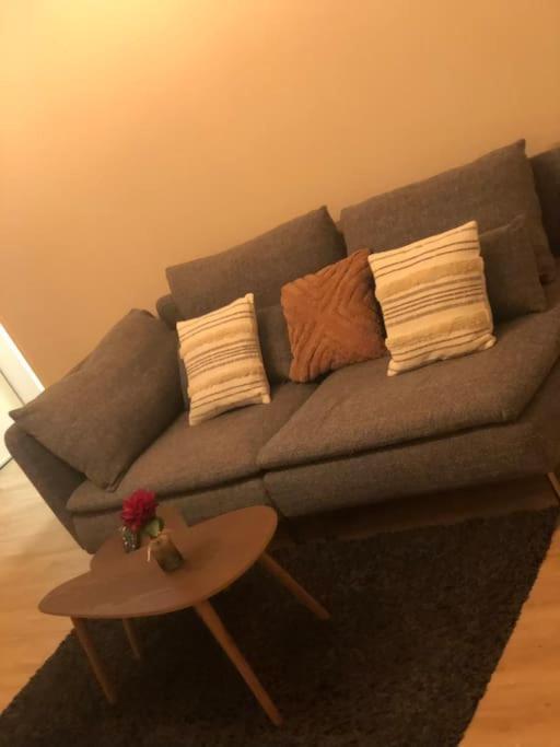 Superbe Appartement Tout Equipe, Le Nid D'Eva A Metz Gare, Parking Prive, Balcon, F2, 50M2, 3P Exteriér fotografie